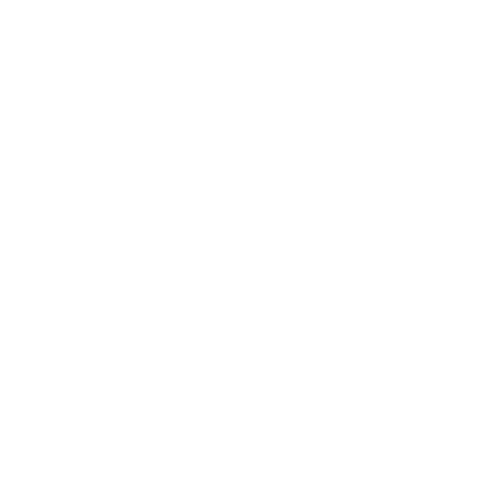 Ferdowsi University